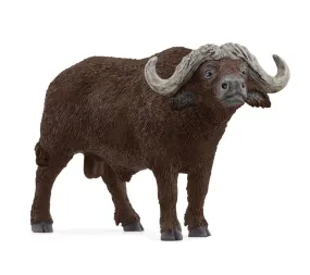 African Buffalo