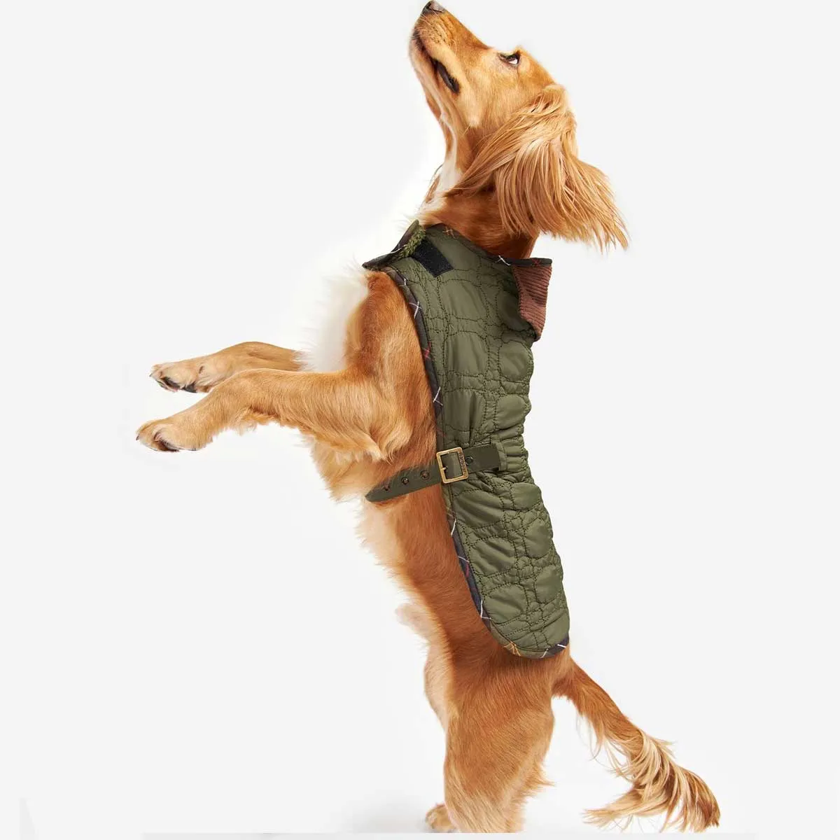 BARBOUR Dog Bone Quilted Dog Coat - Olive