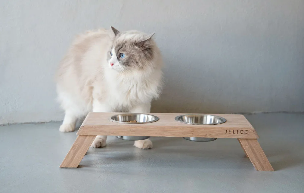 Bentley Elevated Bamboo Pet Feeder