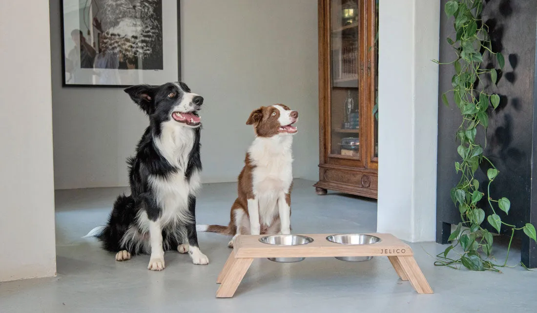 Bentley Elevated Bamboo Pet Feeder