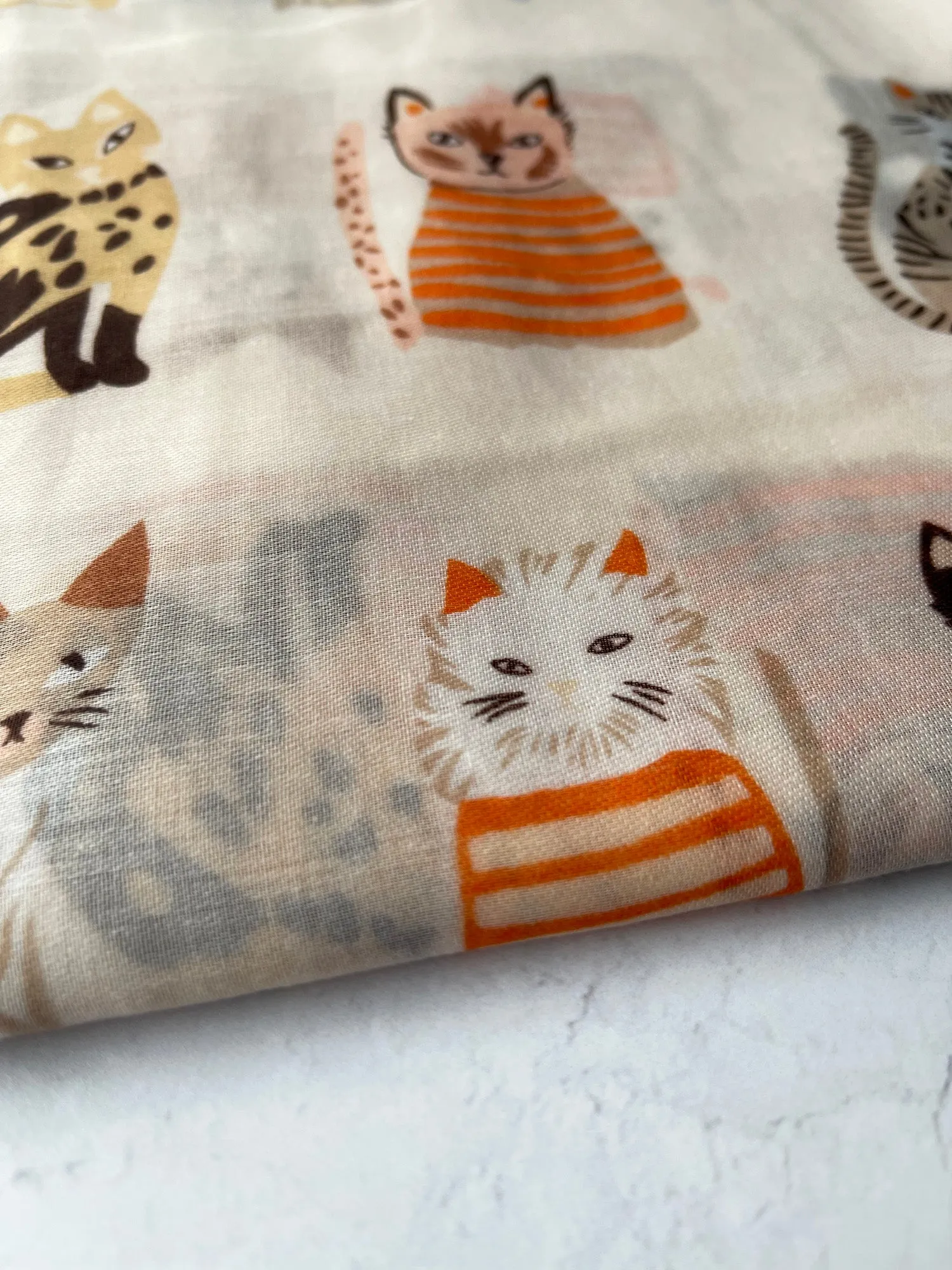 CREAM AND BEIGE LIGHTWEIGHT BORDER CAT SCARF