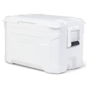 Igloo Coolers