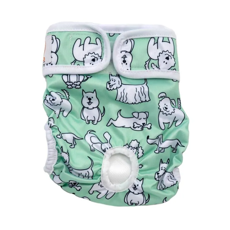 Misoko reusable diapers for female dogs, with puppies, mint