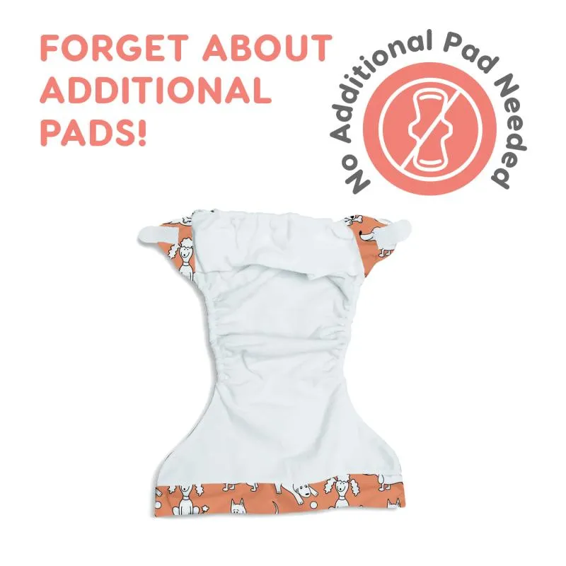 Misoko reusable diapers for male dogs, with paw prints