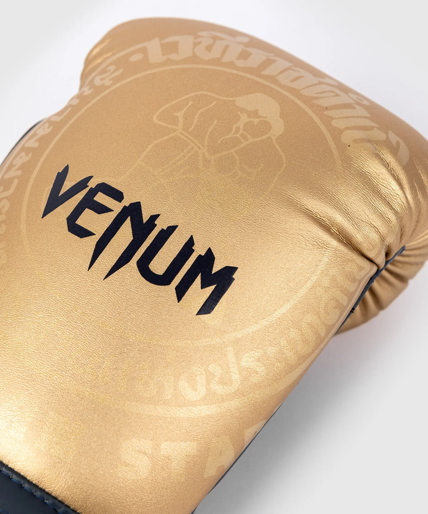 RAJADAMNERN x Venum Boxing Gloves - Sand