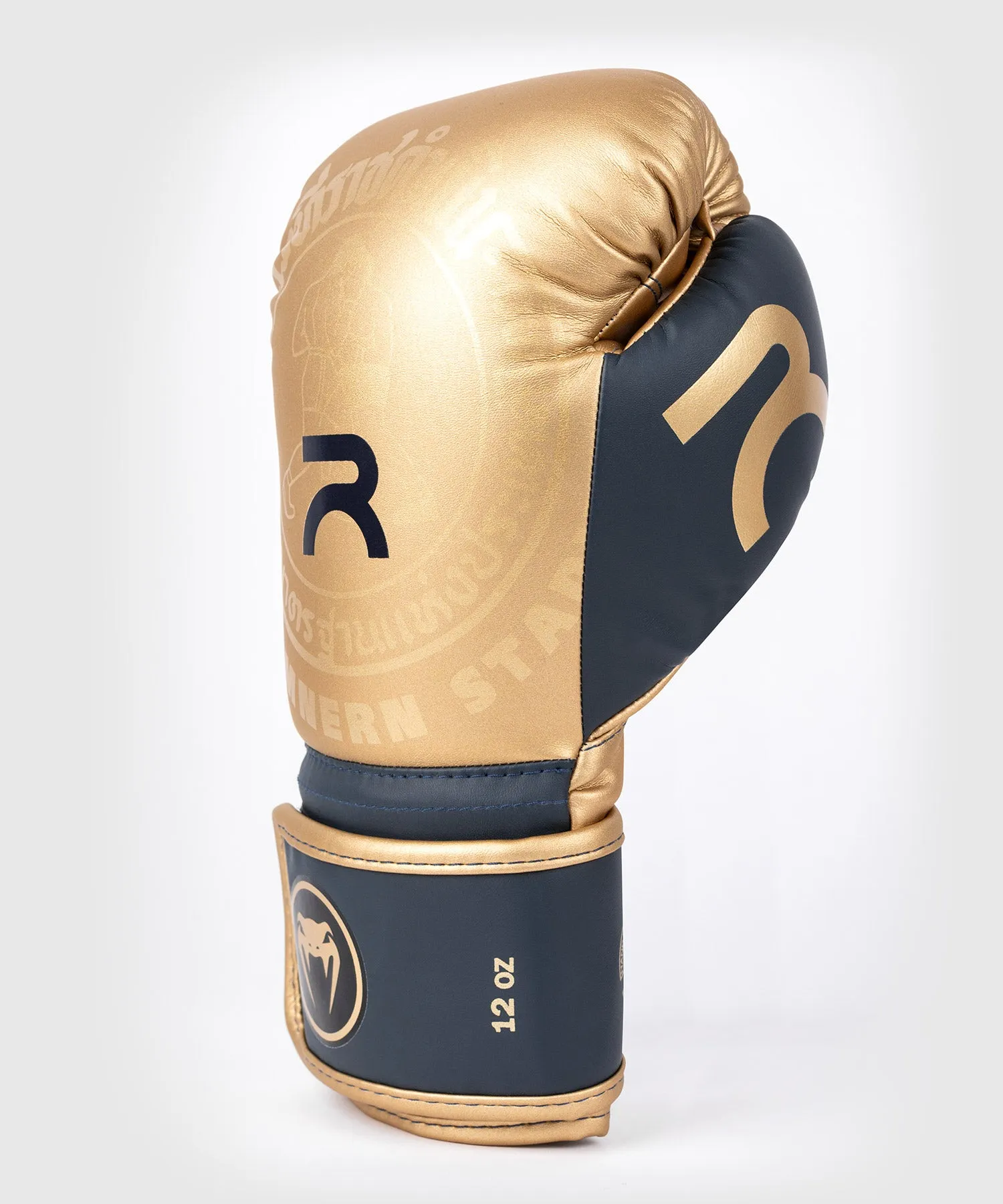 RAJADAMNERN x Venum Boxing Gloves - Sand