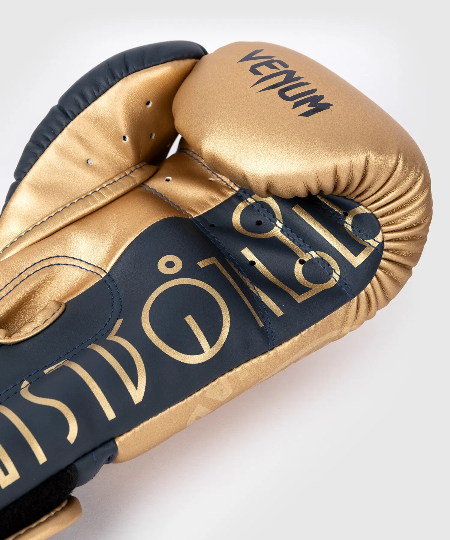 RAJADAMNERN x Venum Boxing Gloves - Sand