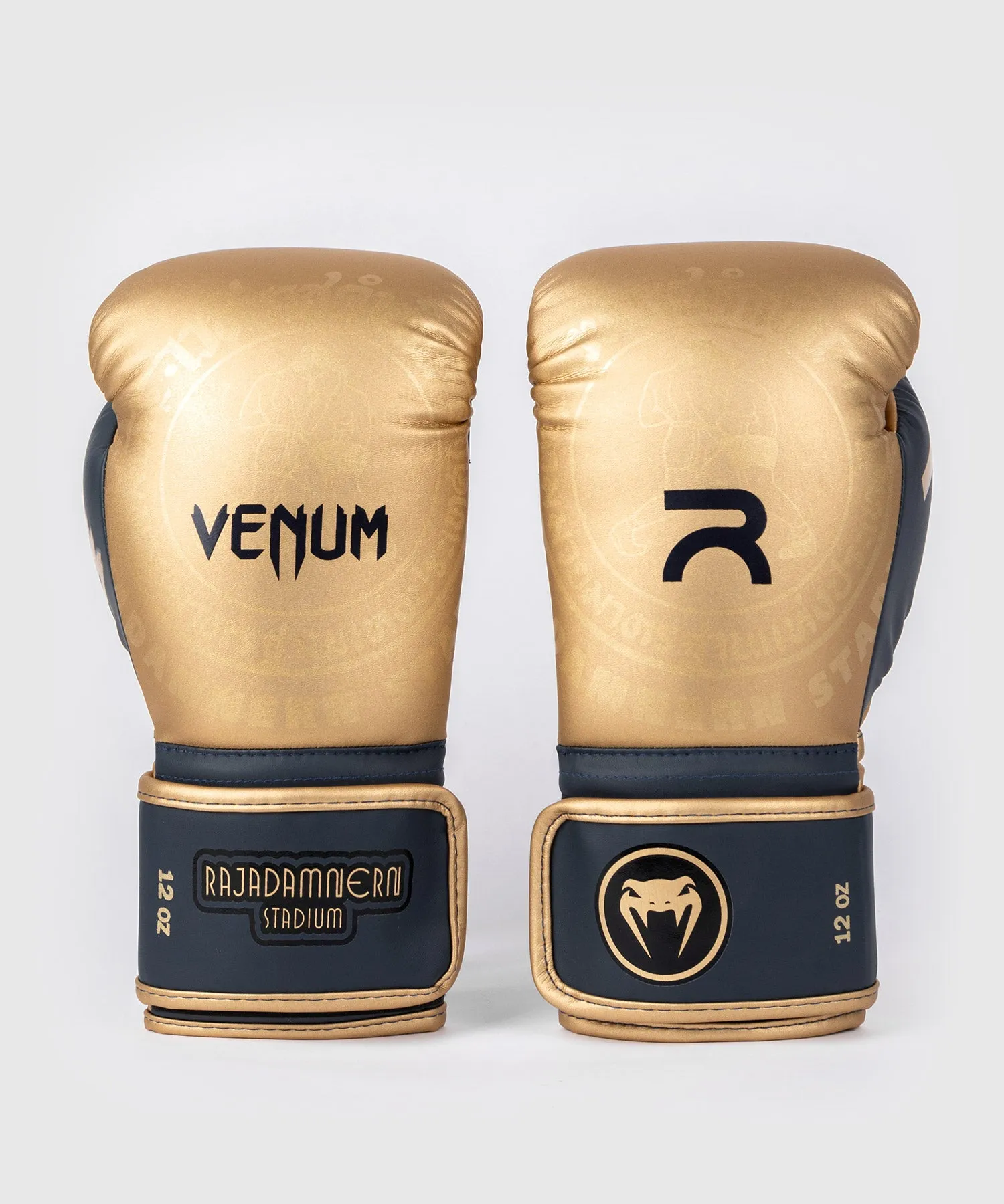 RAJADAMNERN x Venum Boxing Gloves - Sand