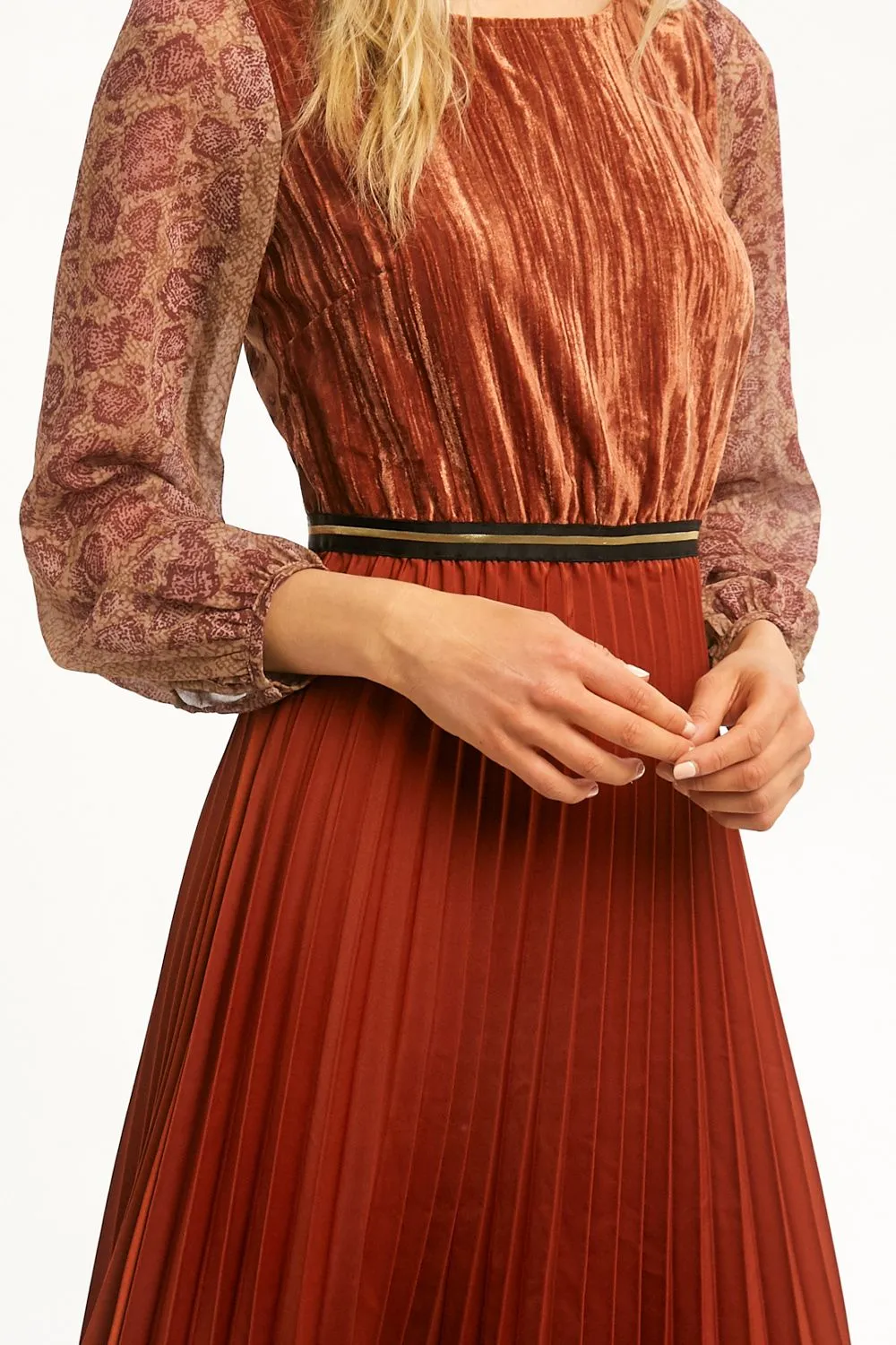 Sleeve Pleated Dress