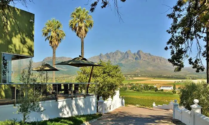 Wine Tasting Experience for up to Four with a R100 off a Theater of Wine Pack from Val du Charron Wine & Leisure Estate