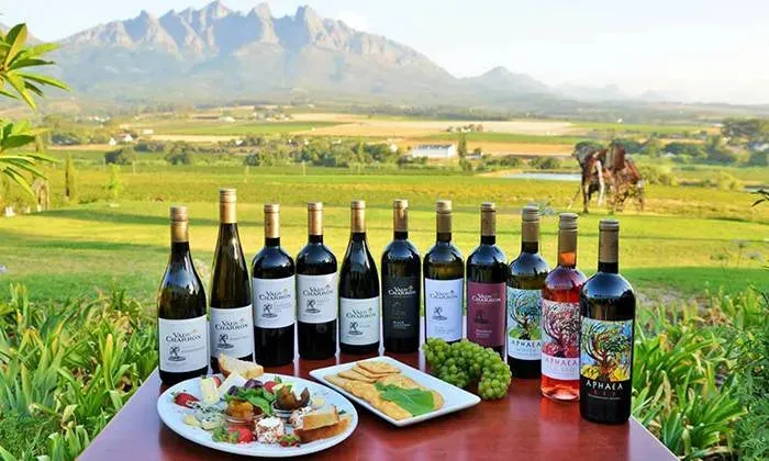 Wine Tasting Experience for up to Four with a R100 off a Theater of Wine Pack from Val du Charron Wine & Leisure Estate