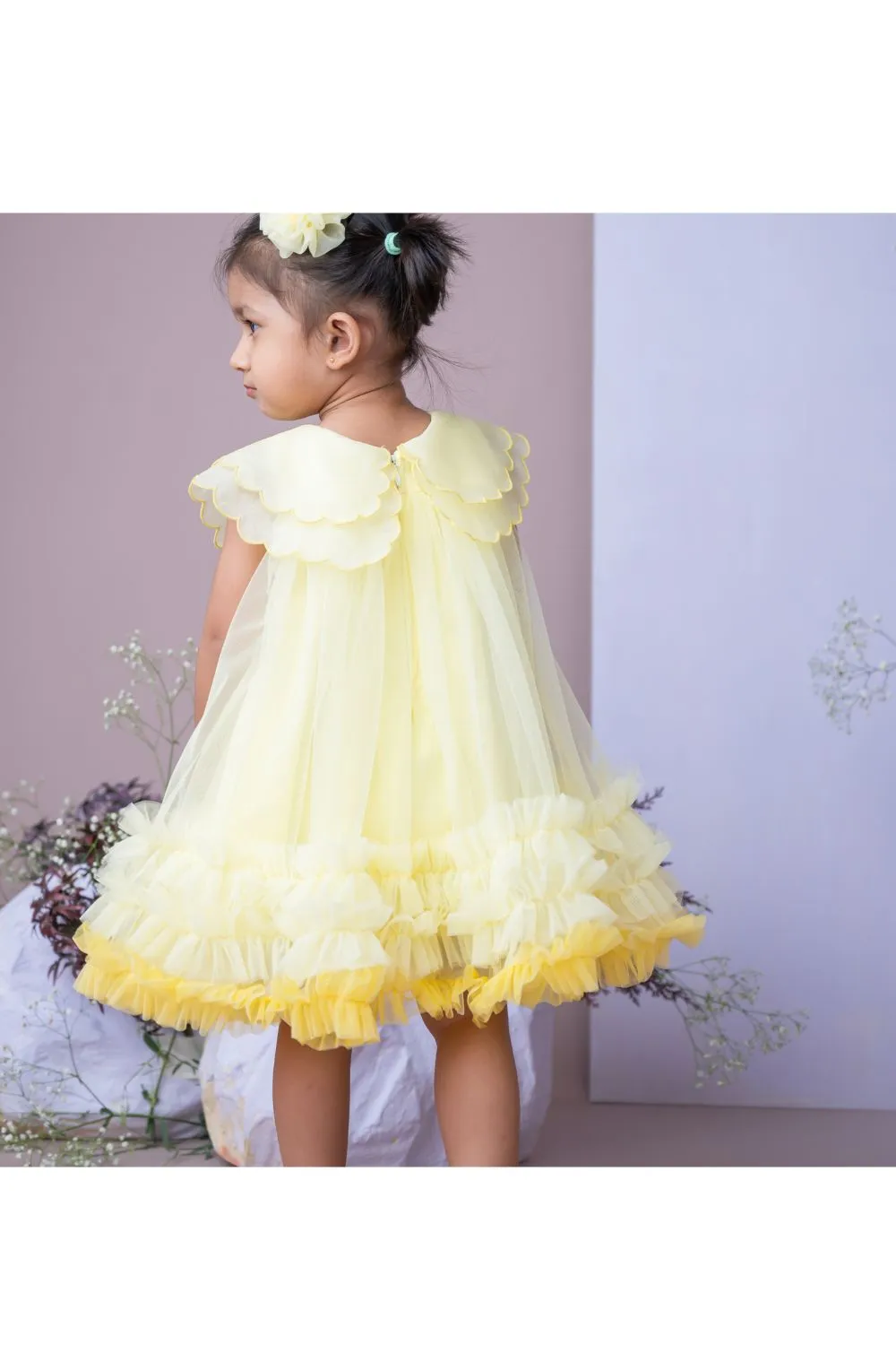 Yellow Organza Embroidered Cape Collar Dress