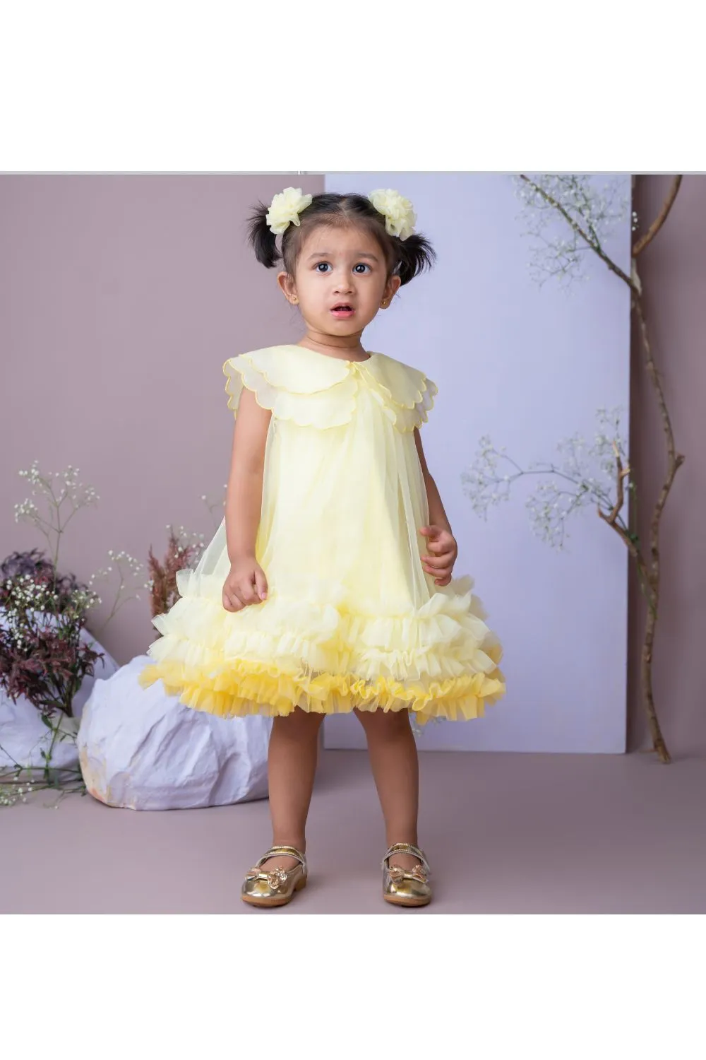 Yellow Organza Embroidered Cape Collar Dress